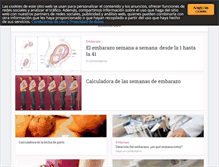 Tablet Screenshot of embarazoyfertilidad.com